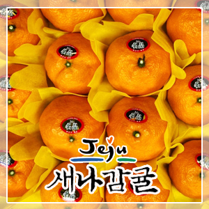 [선물세트] 제주도 카라향 2.5kg / 4.5kg
