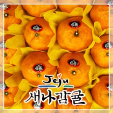 [선물세트] 제주도 카라향 2.5kg / 4.5kg