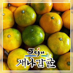 [가정용] 제주 하우스감귤 2.5kg / 4.5kg