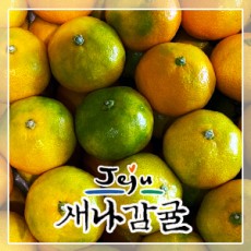 [가정용] 제주 하우스감귤 2.5kg / 4.5kg