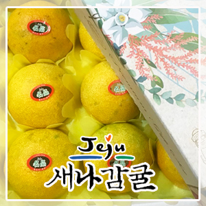 [선물세트] 제주 황금향 3kg / 5kg