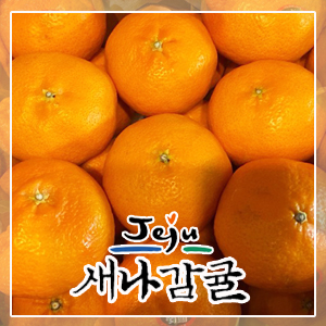 [가정용] 제주 레드향 4.5kg / 9kg