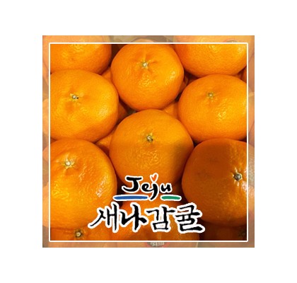 [가정용] 제주 레드향 4.5kg / 9kg