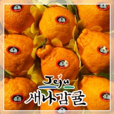 [선물세트] 제주 써니트 한라봉 2.5kg / 4.5kg