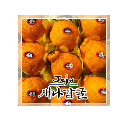 [선물세트] 제주 써니트 한라봉 2.5kg / 4.5kg