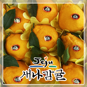 [선물세트] 제주 한라봉 2.5kg / 4.5kg