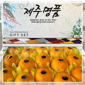 [선물세트] 제주 천혜향 2.5kg / 4.5kg