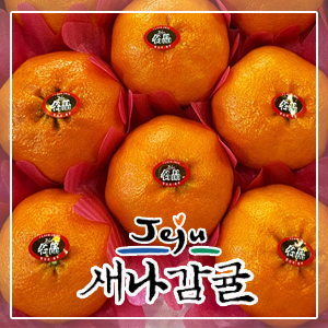 [선물세트] 제주 레드향 2.5kg / 4.5kg