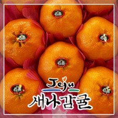 [선물세트] 제주 레드향 2.5kg / 4.5kg