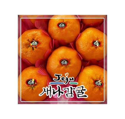 [선물세트] 제주 레드향 2.5kg / 4.5kg